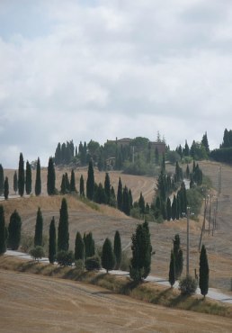 View of a road in the crete senesi region featuring The Gladiator film 